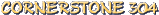 304