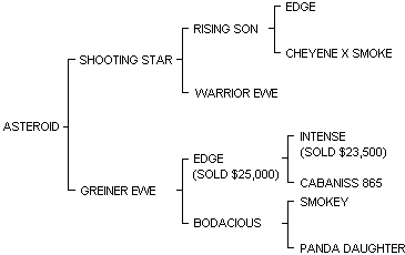ASTEROID pedigree