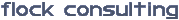flock consulting
