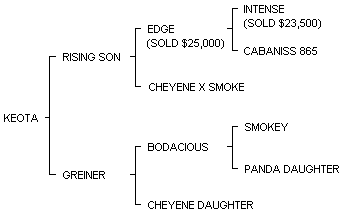 KEOTA pedigree