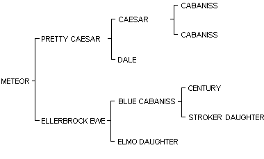 METEOR pedigree