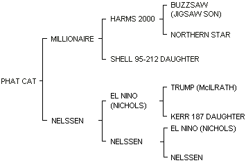 PHAT CAT pedigree