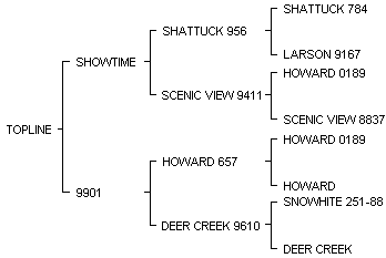 TOPLINE