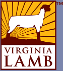 Virginia Lamb