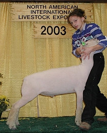 Sired by Topline