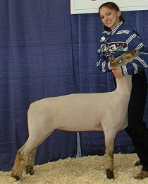 Sired by Topline