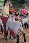 Virginia State Fair