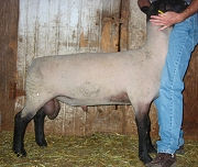 KEOTA